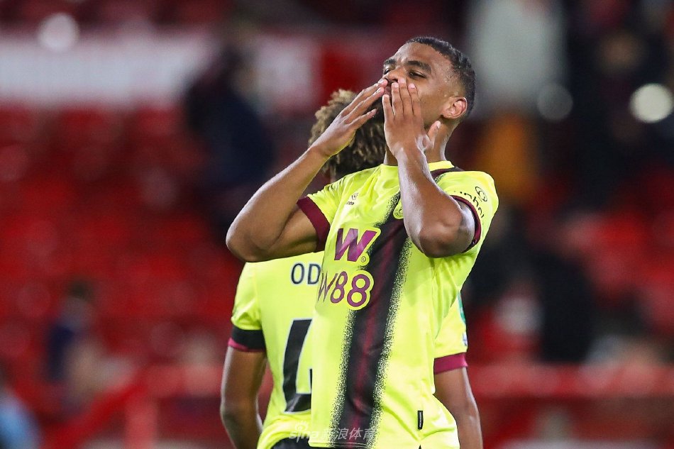 了专业领域 了专业领域