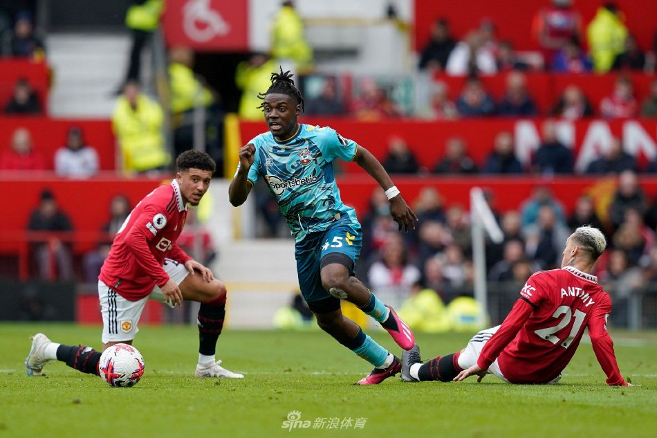 对于森林来 对于森林来